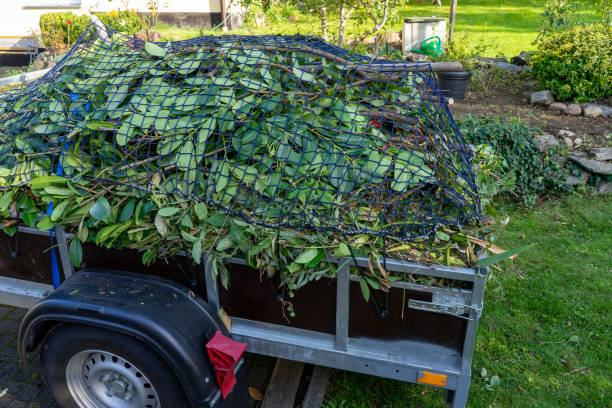 Best Furniture Removal  in Lazy Mountain, AK